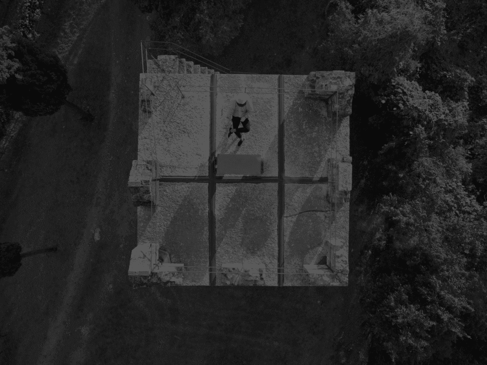 Apicoltura Aziendale