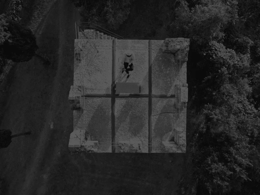 Apicoltura Aziendale