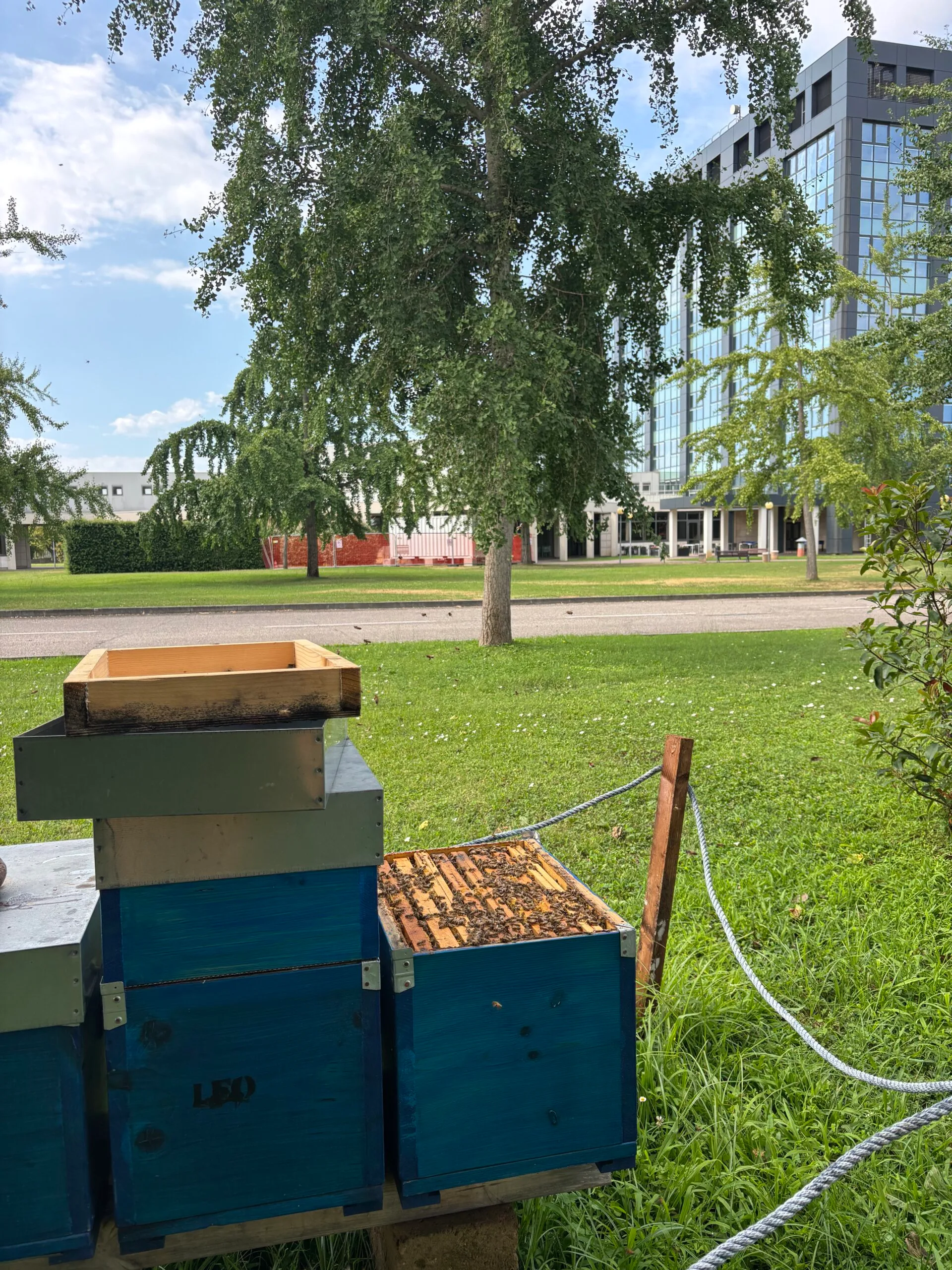 Alveare aziendale installato nel verde di una sede aziendale, esempio di apicoltura urbana per la biodiversità in contesto periurbano